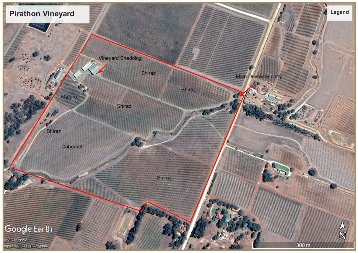 比拉顿葡萄园地图