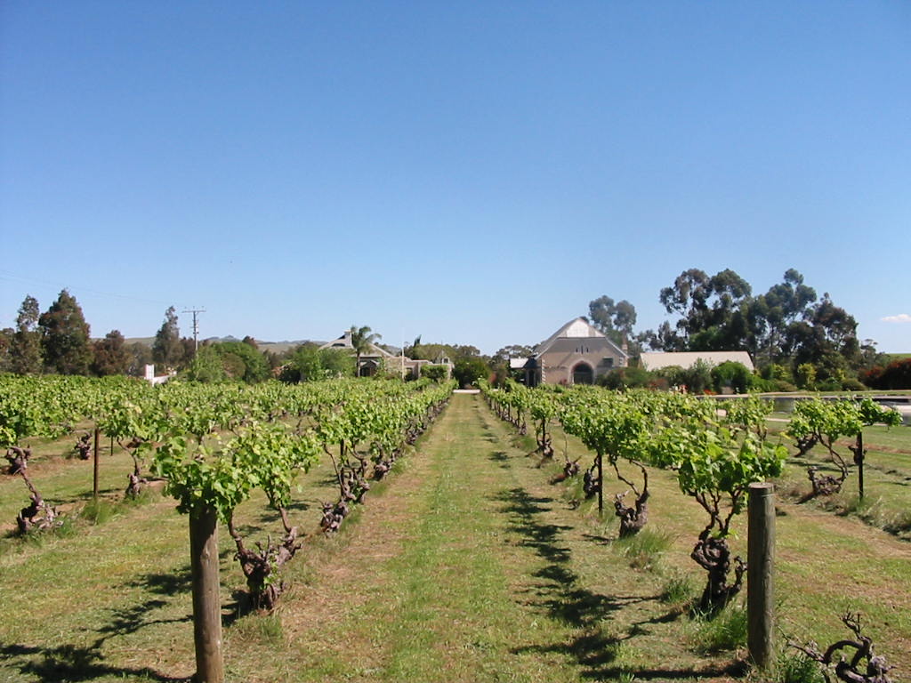 比拉顿庄园葡萄园地图